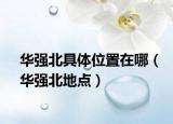 华强北具体位置在哪（华强北地点）