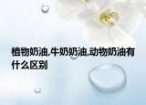 植物奶油,牛奶奶油,动物奶油有什么区别