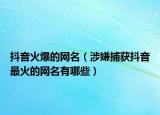 抖音火爆的网名（涉嫌捕获抖音最火的网名有哪些）