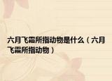 六月飞霜所指动物是什么（六月飞霜所指动物）