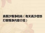 真假沙悟净和尚（有关真沙僧怒打假悟净内容介绍）
