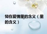 恸在爱情里的含义（里的含义）