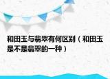 和田玉与翡翠有何区别（和田玉是不是翡翠的一种）