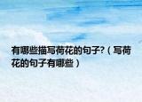 有哪些描写荷花的句子?（写荷花的句子有哪些）