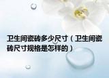 卫生间瓷砖多少尺寸（卫生间瓷砖尺寸规格是怎样的）