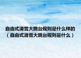 自由式滑雪大跳台规则是什么样的（自由式滑雪大跳台规则是什么）