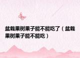 盆栽果树果子能不能吃了（盆栽果树果子能不能吃）