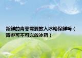 新鲜的青枣需要放入冰箱保鲜吗（青枣可不可以放冰箱）