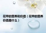 花甲的营养和价值（花甲的营养价值是什么）