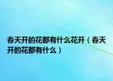 春天开的花都有什么花开（春天开的花都有什么）