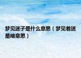 梦见迷子是什么意思（梦见着迷是啥意思）