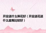 开业送什么捧花好（开业送花送什么盆栽比较好）