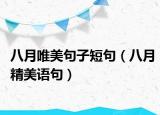 八月唯美句子短句（八月精美语句）