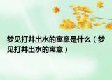 梦见打井出水的寓意是什么（梦见打井出水的寓意）