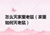 怎么灭家里老鼠（家里如何灭老鼠）