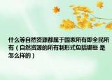 什么等自然资源都属于国家所有即全民所有（自然资源的所有制形式包括哪些 是怎么样的）