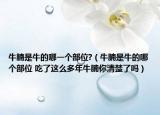 牛腩是牛的哪一个部位?（牛腩是牛的哪个部位 吃了这么多年牛腩你清楚了吗）
