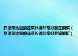 梦见菜地里的蔬菜长得非常好我在摘菜（梦见菜地里的蔬菜长得非常好梦境解析）