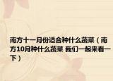南方十一月份适合种什么蔬菜（南方10月种什么蔬菜 我们一起来看一下）