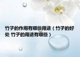 竹子的作用有哪些用途（竹子的好处 竹子的用途有哪些）