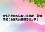 金雀的养殖方法和注意事项 – 养殖日记（金雀儿的养殖方法分享）