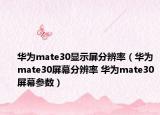 华为mate30显示屏分辨率（华为mate30屏幕分辨率 华为mate30屏幕参数）