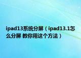ipad13系统分屏（ipad13.1怎么分屏 教你用这个方法）