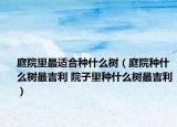 庭院里最适合种什么树（庭院种什么树最吉利 院子里种什么树最吉利）