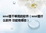 soul是干嘛用的软件（soul是什么软件 功能有哪些）