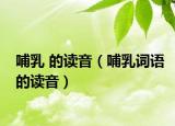 哺乳 的读音（哺乳词语的读音）