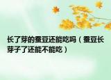 长了芽的蚕豆还能吃吗（蚕豆长芽子了还能不能吃）