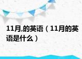 11月,的英语（11月的英语是什么）
