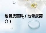 地骨皮百科（地骨皮简介）