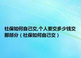 社保如何自己交,个人要交多少钱交那部分（社保如何自己交）