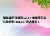苹果如何降级到12.4（苹果手机怎么降级到ios12.4 玩转苹果）