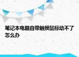 笔记本电脑自带触摸鼠标动不了怎么办