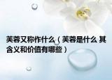 芙蓉又称作什么（芙蓉是什么 其含义和价值有哪些）