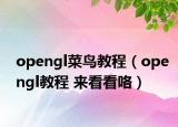 opengl菜鸟教程（opengl教程 来看看咯）