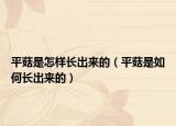 平菇是怎样长出来的（平菇是如何长出来的）