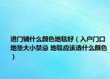 进门铺什么颜色地毯好（入户门口地垫大小禁忌 地毯应该选什么颜色）