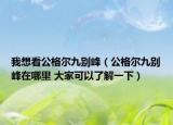 我想看公格尔九别峰（公格尔九别峰在哪里 大家可以了解一下）