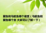 鲅鱼和马鲛鱼哪个便宜（马鲛鱼和鲅鱼哪个贵 大家可以了解一下）