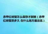 赤甲红螃蟹怎么保存才新鲜（赤甲红螃蟹蒸多久 在什么地方最出名）
