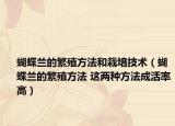 蝴蝶兰的繁殖方法和栽培技术（蝴蝶兰的繁殖方法 这两种方法成活率高）