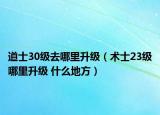 道士30级去哪里升级（术士23级哪里升级 什么地方）