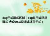 dsg干式湿式区别（dsg是干式还是湿式 大众DSG是湿式还是干式）