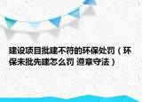 建设项目批建不符的环保处罚（环保未批先建怎么罚 遵章守法）