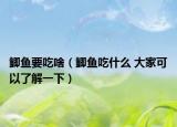 鲫鱼要吃啥（鲫鱼吃什么 大家可以了解一下）