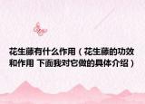 花生藤有什么作用（花生藤的功效和作用 下面我对它做的具体介绍）