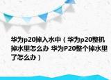 华为p20掉入水中（华为p20整机掉水里怎么办 华为P20整个掉水里了怎么办）